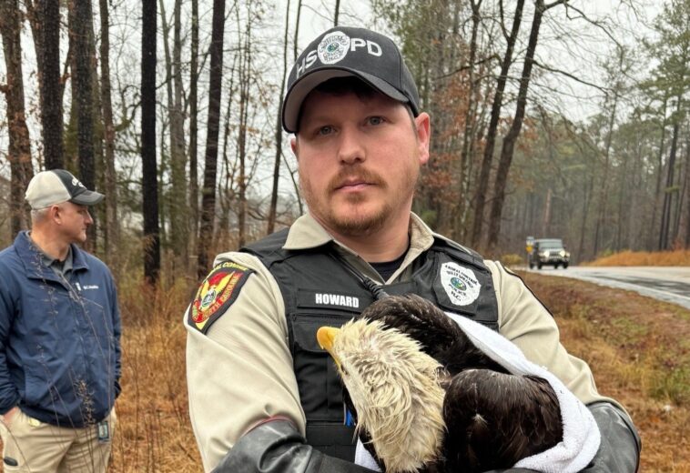 Beyond the Badge: Animal Control