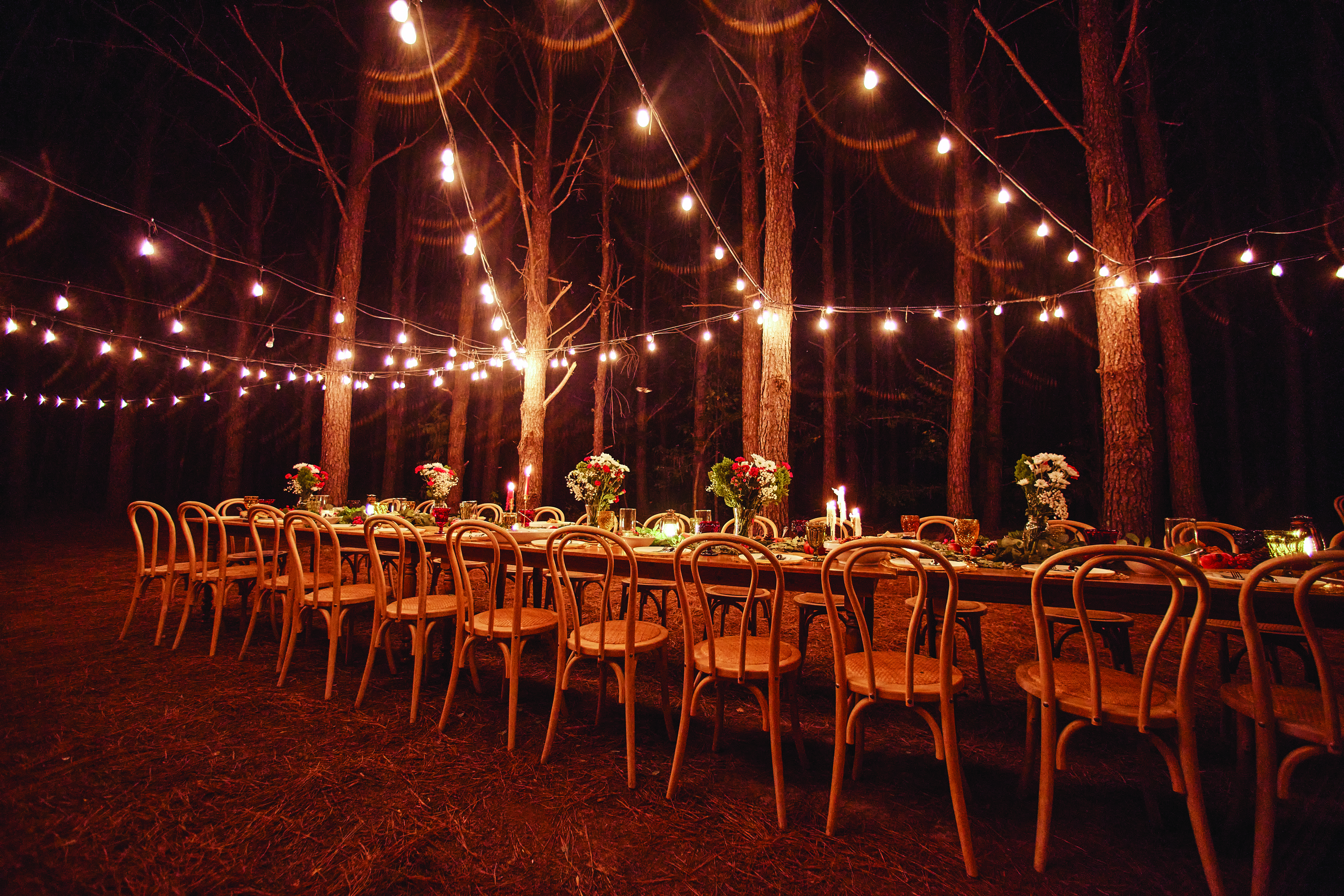 Celebrate by Starlight: FigMINT’s Dinner in the Pines 