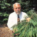 JC Raulston Arboretum celebrates five decades of diversifying the Southeast landscape